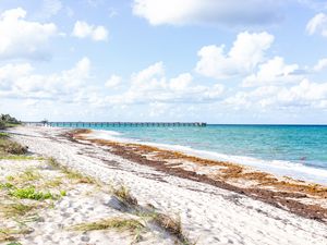 Landscape view of Juno Beach Pier jetty in Jupiter, Florida, sunny day, turquoise water, sand, nobody, seaweed, cloudy sky, atlantic ocean