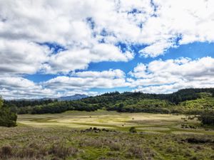 View of the clouds at Trione-Annadel State Park