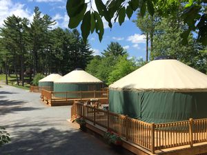 Three green yurts with cream colored roof in a row. Each Yurt is on a large, elevated wooden deck with stairs. There are tall tree to the right of the yurts