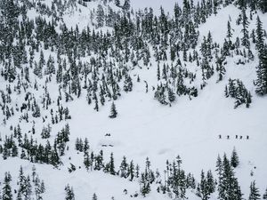 People cross country skiing across the Cascade Mountains