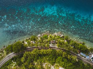 Aerial View of trees by sea in Moalboal, Philippines