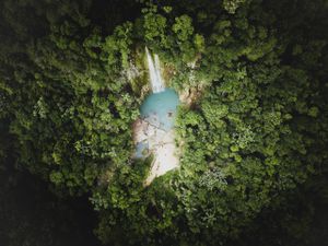 Aerial View Of Waterfall Forest