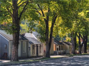 row of small houses on a tree lined street