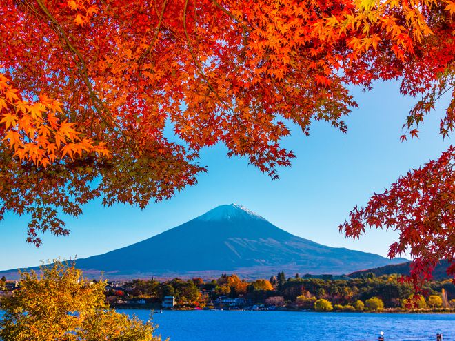 Colorful leaves and Mount Fuji during October in Asia