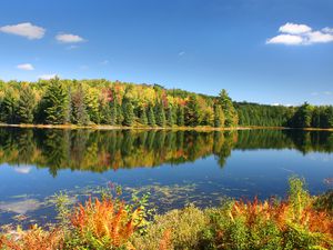 Autumn's Beauty on Mirror Lake