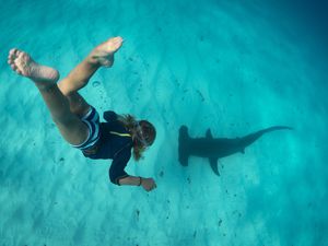 Boy free diving with hammerhead shark, Bimini, Bahamas