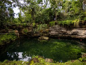 Open Cenote in Tulum