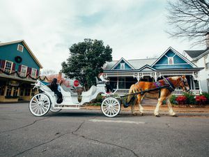 Charlotte horse and carriage
