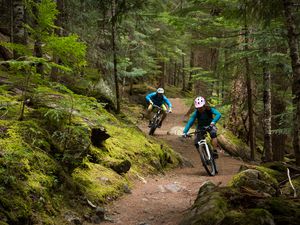 Couple mountain biking through a lush forest