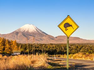 snow-capped Mt. Tongariro with yellow kiwi warning road sign in foreground