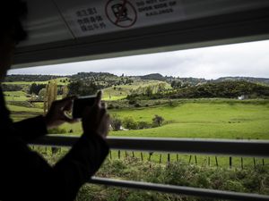 Crossing New Zealand By Train