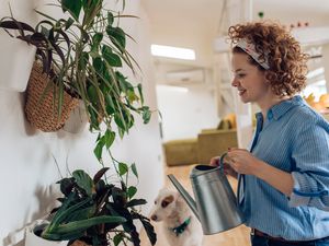 Cute woman watering plants at home