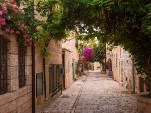 Flowers, Streets, Jerusalem, Israel