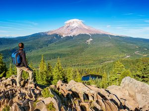 A hiker looks across an expansive forest at Mt. Hood in the distance.