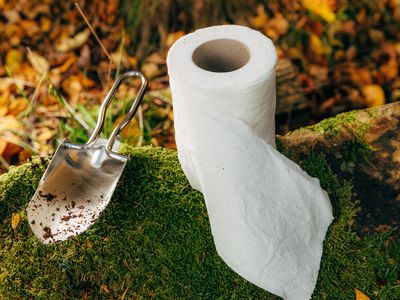A small shovel and roll of toilet paper on a mound of grass in the forest