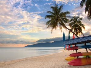 Beach with palm trees at sunrise on Tioman Island