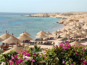 Sharm El-Sheikh beach with parasols and bougainvillea