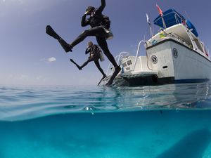 Best Scuba Diving Certification Programs