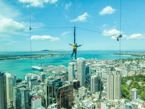 Bungee jumping man from Auckland sky tower.