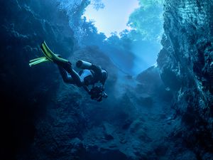 Scuba diver diving through a Brazilian cenote