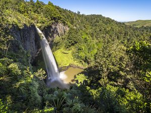 Bridal Veil Waterfalls in Waikato New Zealand surrounded by forest