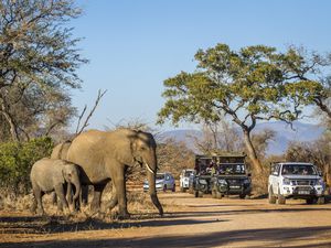 Rental Cars in Kruger National Park, South Africa