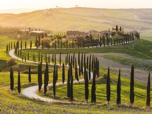 Winding road in the Italian countryside with cypress trees on either side. there is a complex of buildings next to a portion of the road