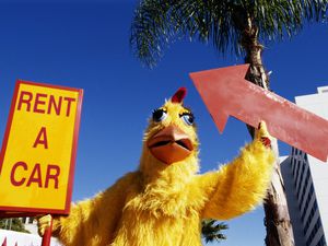 Rent a car chicken holding a sign