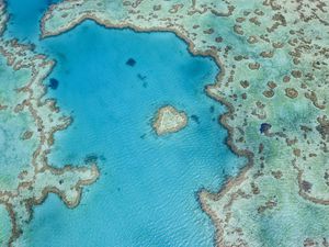 The Great Barrier "Heart Reef" in Australia