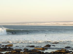 Surfers swimming in water, Elands Bay, Western Cape, South Africa