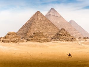 Lone camel and rider in front of the Pyramids of Giza, Egypt