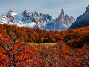 Beautiful autumn near Cerro Torre. Patagonia, Argentina