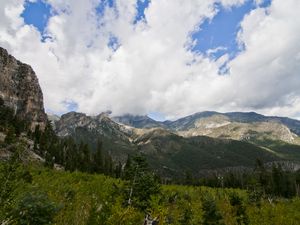 Forests and Mount Charleston