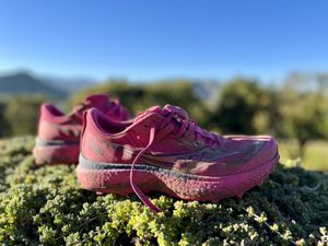 Saucony Endorphin Edge sneakers displayed on a green plant
