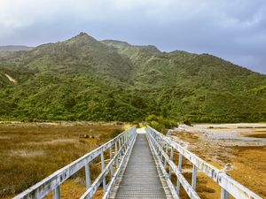 A walk path to a grass covered mountain in Abel Tasman