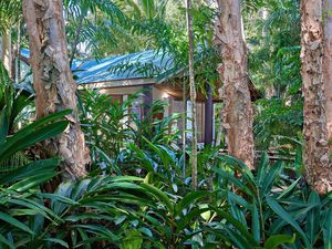 Day spa set within the rainforest