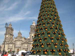 Christmas tree in Mexico City