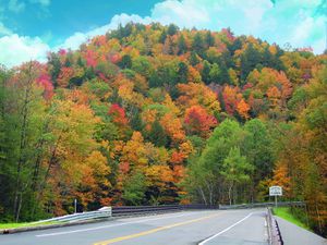 New England Fall Foliage Bus Trips