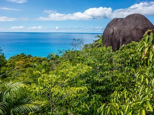Morne Seychellois National Park - Mahe - Seychelles