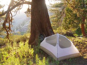 camping in national forest