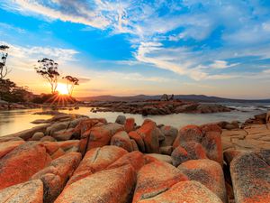 Flaming red Lichen rocks on the beach at the Bay of Fires in Tasmania at sunset