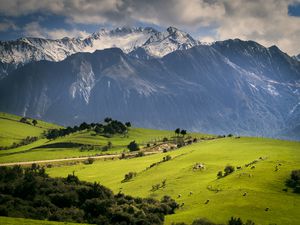 Rural scene with mountains behind, Kaikoura, Gisborne, New Zealand