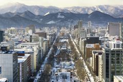 Sapporo City View