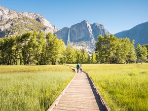 Sentinel Meadow boardwalk and view of Yosemite Falls
