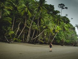 Solo Traveller Hiking in Costa Rica