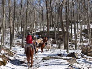 Horseback Riding at Lincoln Woods State Park in RI