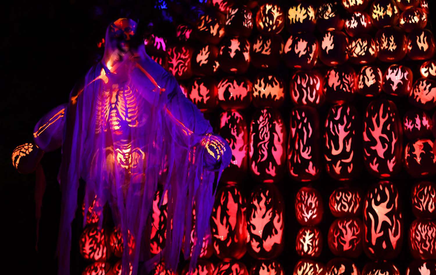 Illuminated pumpkins are on display during the Great Jack O'Lantern Blaze at Van Cortlandt Manor in Croton-on-Hudson, New York