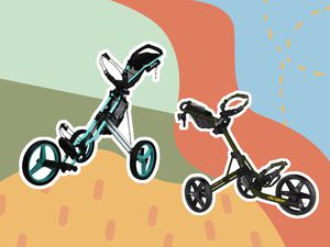 TRIPSAVVY-best-golf-push-carts