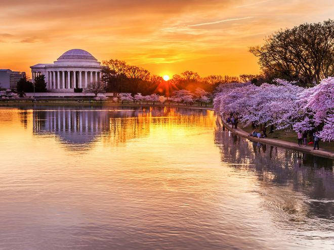 The Cherry Blossom Festival in Washington, D.C.