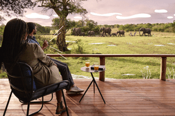 Image of people watching wildlife in Africa with illustrated details around them